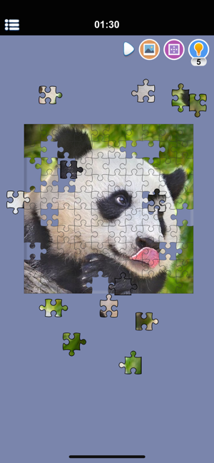 Photos Jigsaw Puzzle