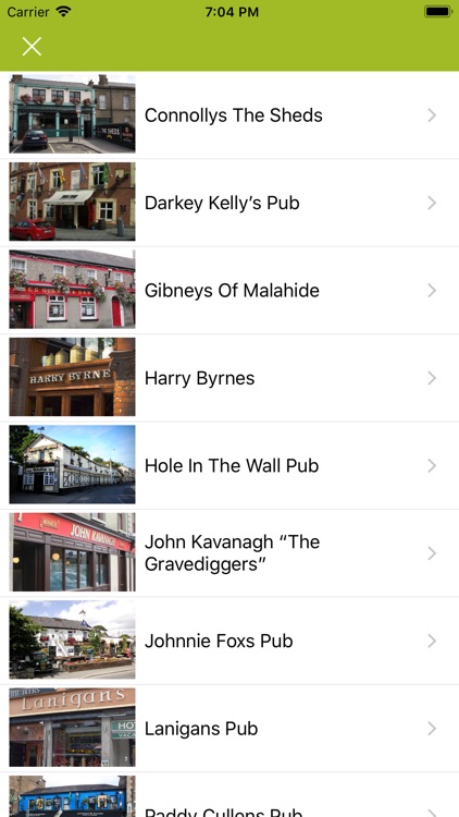 Irish Pubs screenshot-3