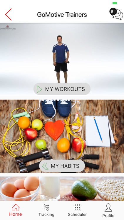 Alternative Fitness Concepts