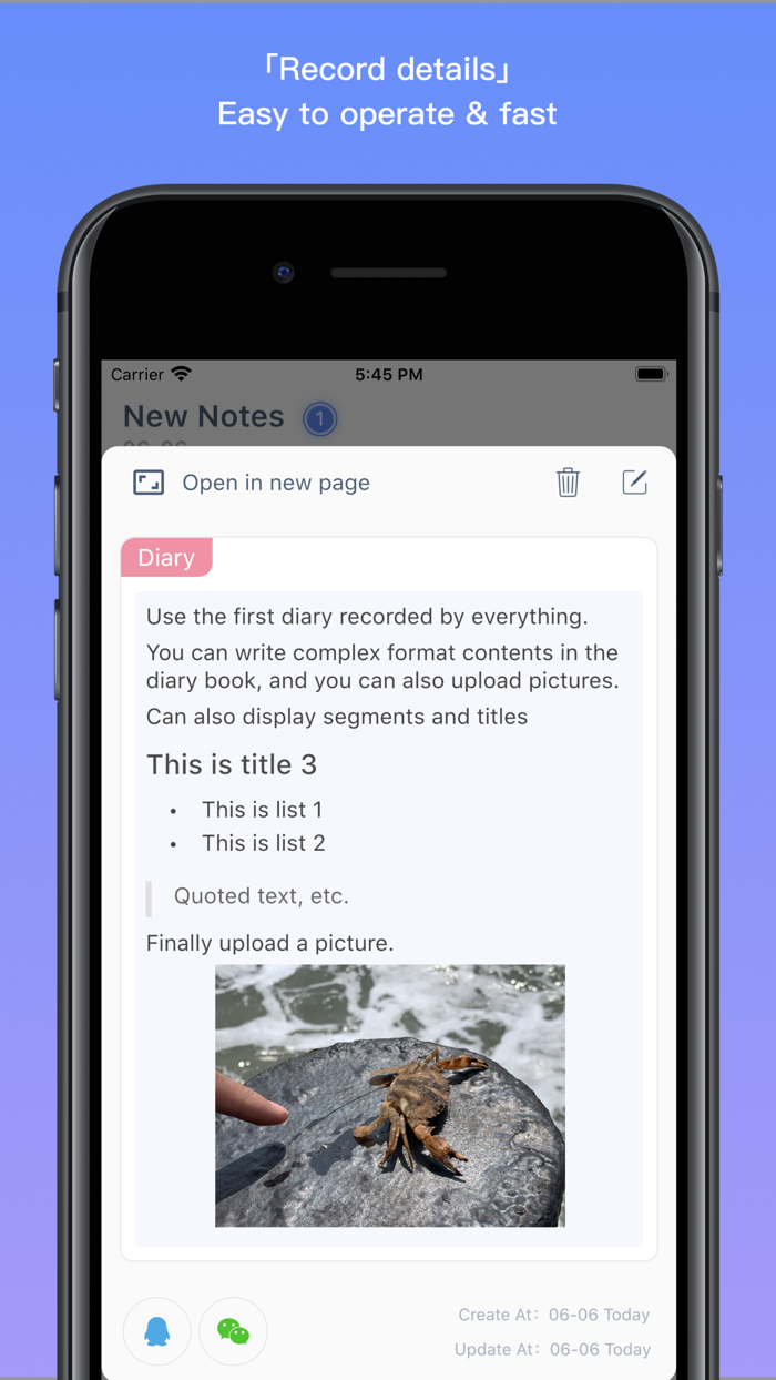 Everything -  Custom Notebook