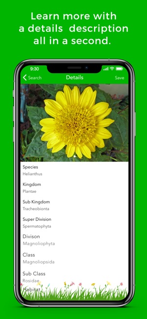 Plant Identification & Info(圖3)-速報App