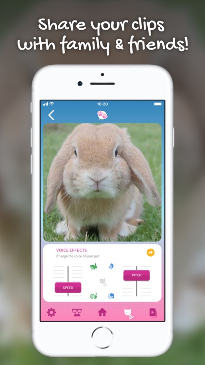 My Talking Pet screenshot-3