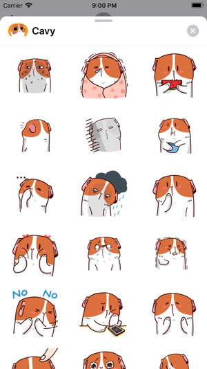 Lovely Cavy Animated Stickers(圖3)-速報App