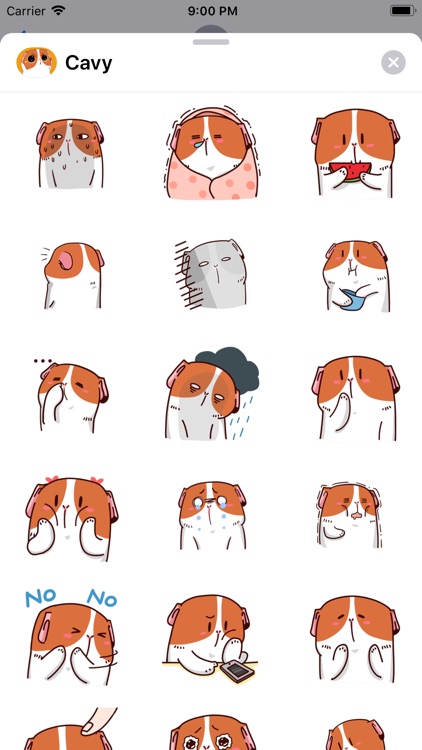 Lovely Cavy Animated Stickers
