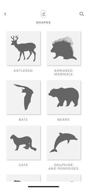 Fieldstone Guide: Mammals(圖6)-速報App