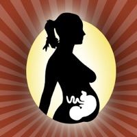 Pregnancy Weeks** PC 용