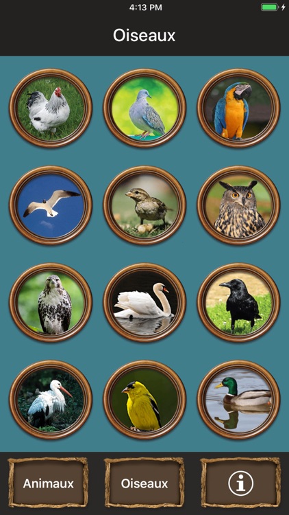 Animals Talking screenshot-3