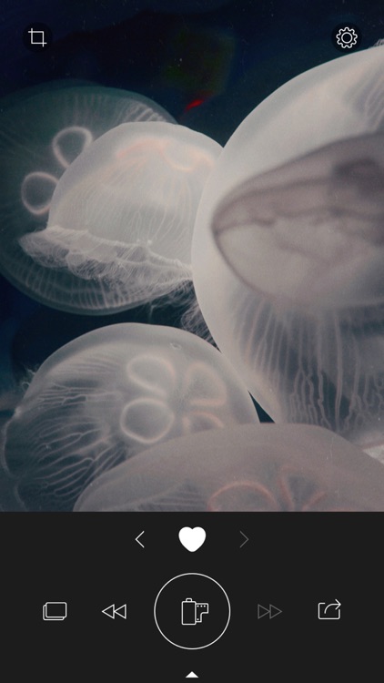 RNI Colibri screenshot-0