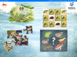 Game screenshot Sasol Young Explorer Frogs hack