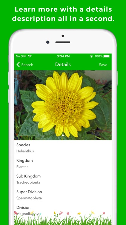 Plant Identification & Info screenshot-3