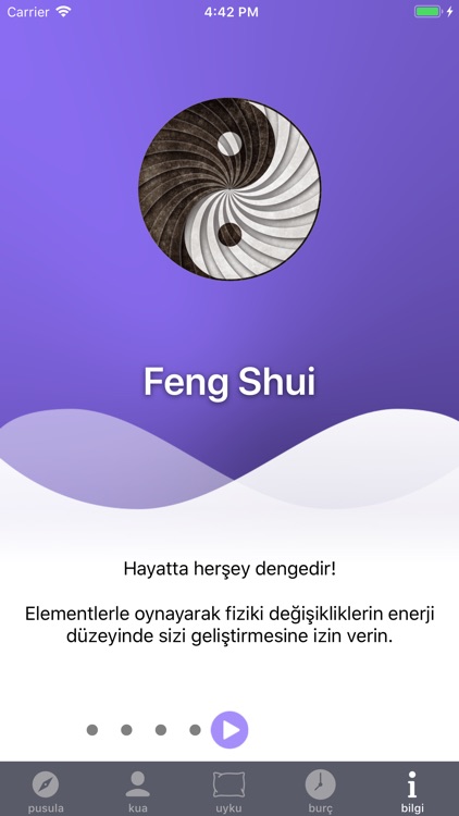 FengShuiWE screenshot-6