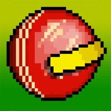 Activities of Sandy Balls Cricket