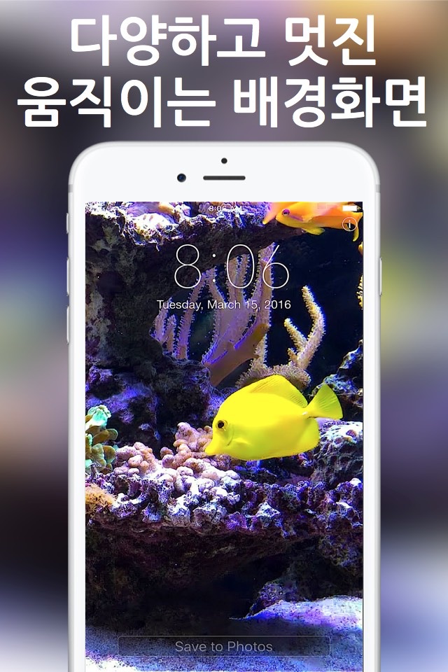 Aquarium Dynamic Wallpapers screenshot 4