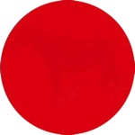 Follow The Red Dot