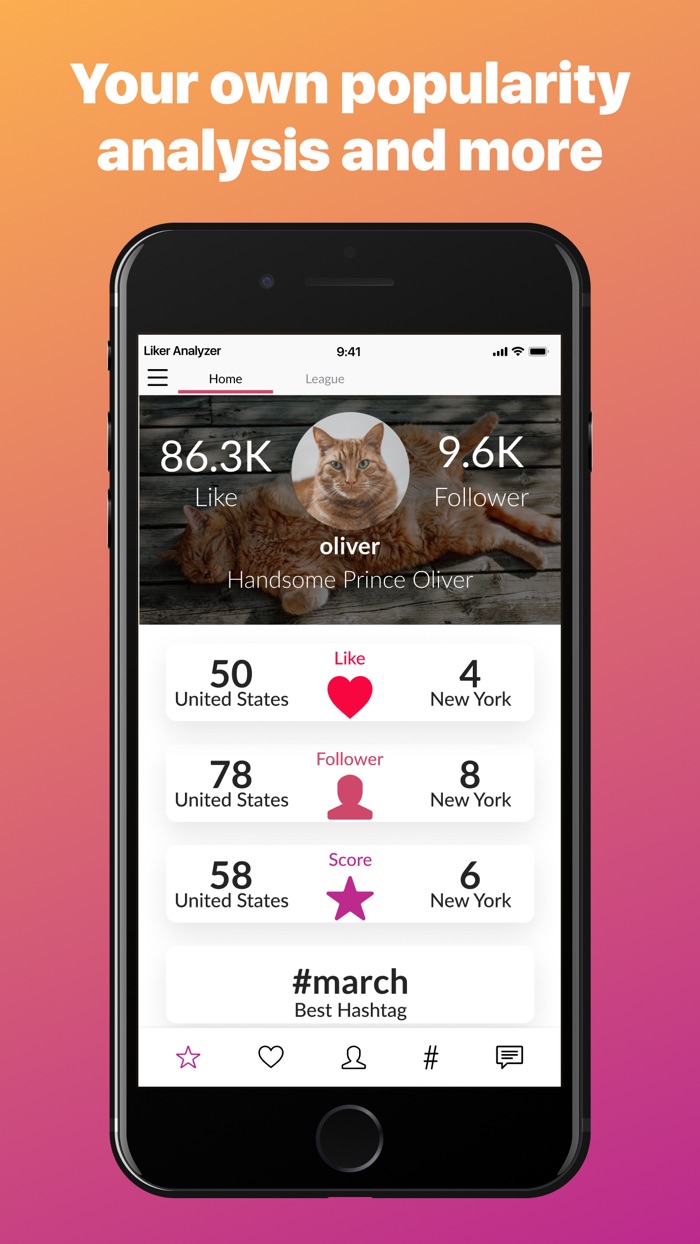 Liker Analyzer for Instagram