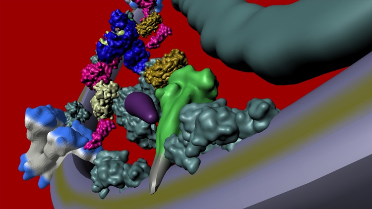 Bio Virus Structure in 3D screenshot-3