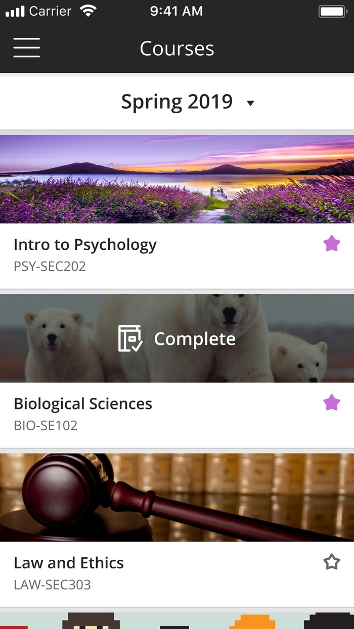 Blackboard Instructor