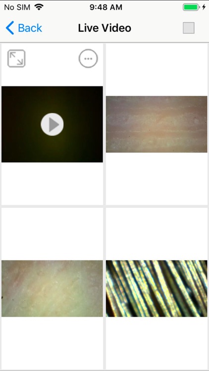 绿尚国际 screenshot-3