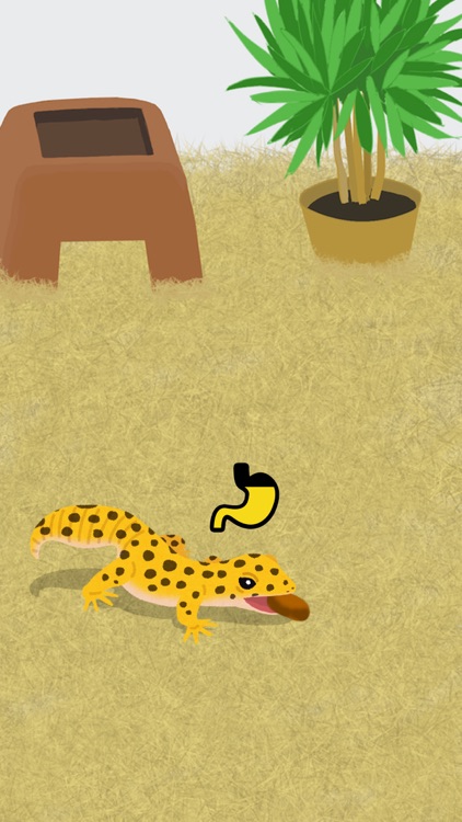 My Gecko -Virtual Pet Game-