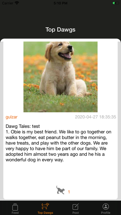 Dawg Tales screenshot 4