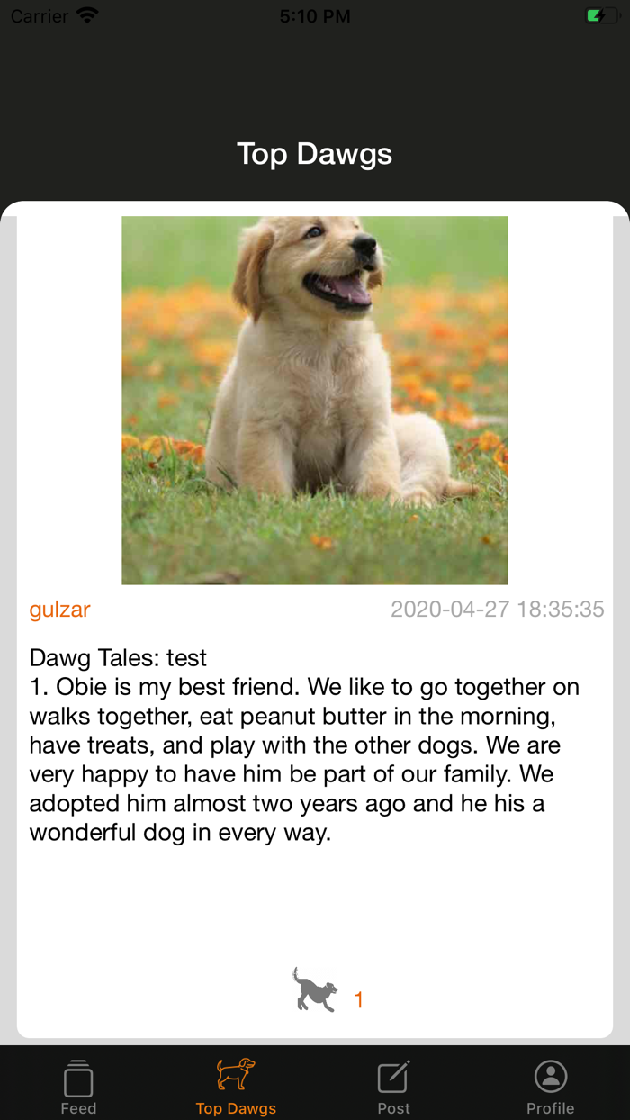 Dawg Tales