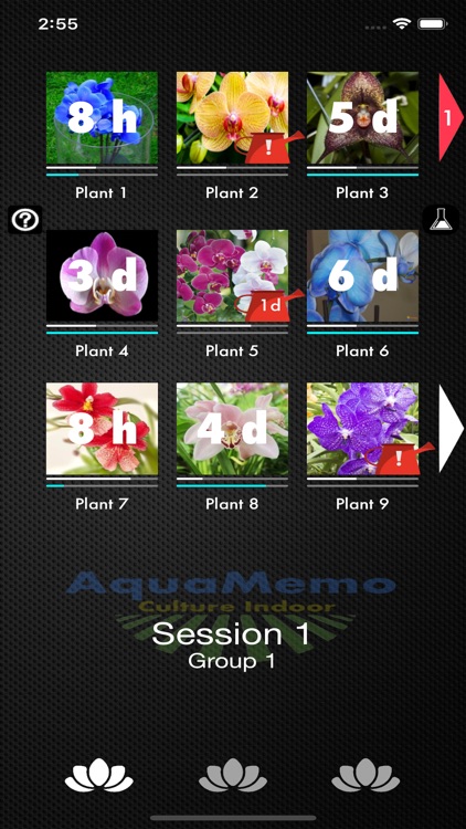 AquaMemo screenshot-0