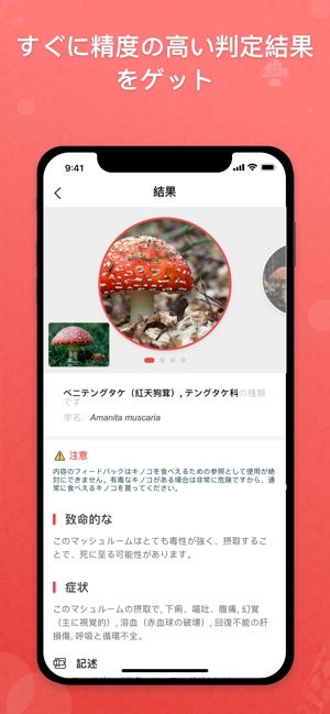 Picture Mushroom 1秒キノコ図鑑 をapp Storeで