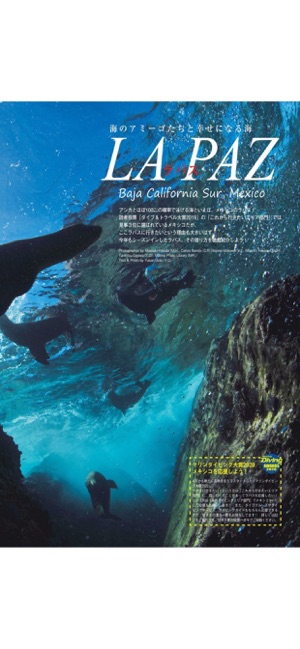 Marine Diving（マリンダイビング）(圖4)-速報App