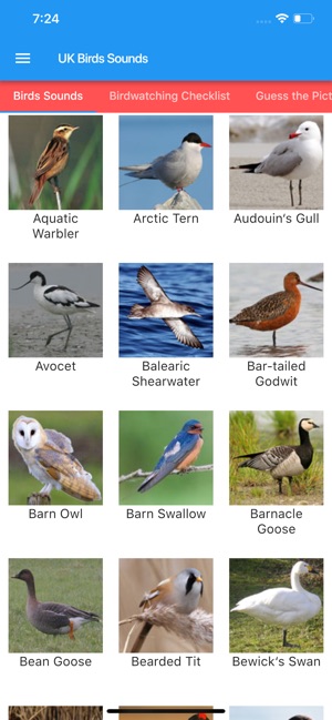 UK Birds Sounds
