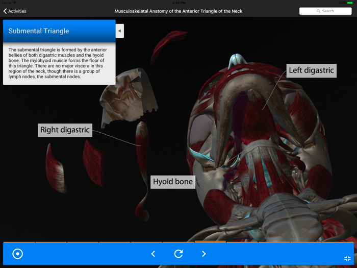 Gale Interactive Human Anatomy