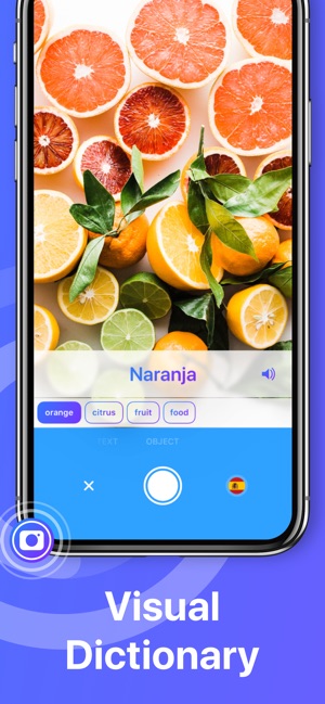 Itranslate Translator On The App Store