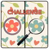 Five Differences Challenge