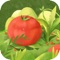 This is a game for first-year students to know fruits and vegetables