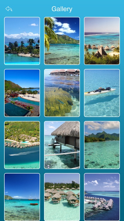 Moorea Island Tourism Guide screenshot-4