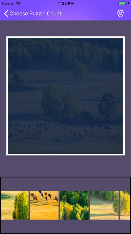 Jigsaw Puzzle - Practice screenshot-4