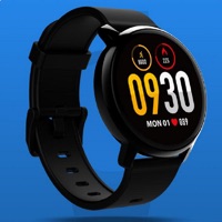 PGDwatch sur PC