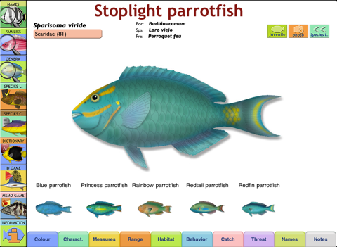 Marine Fishes screenshot 3