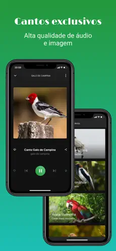Captura 2 Sonidos de pájaros - A. Latina iphone