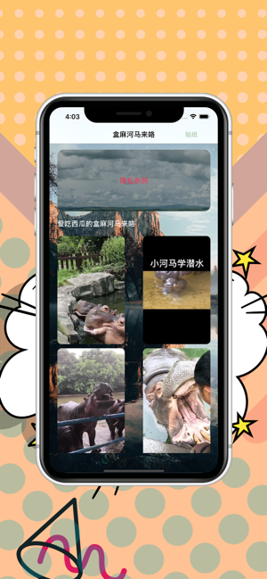 Hippo Hippo(圖1)-速報App