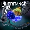 Genetics Inheritance Quiz A