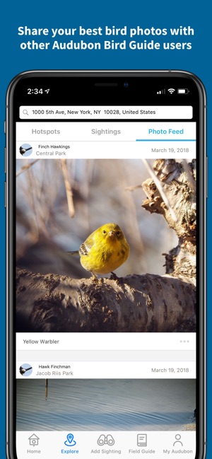 Audubon Bird Guide(圖5)-速報App