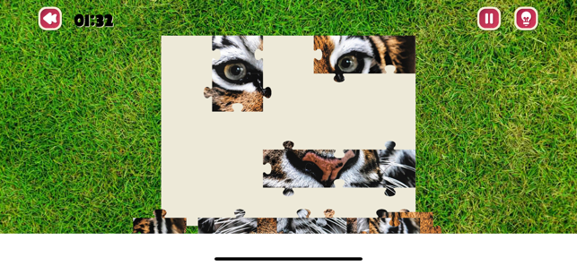 Jigsaw Puzzle Board