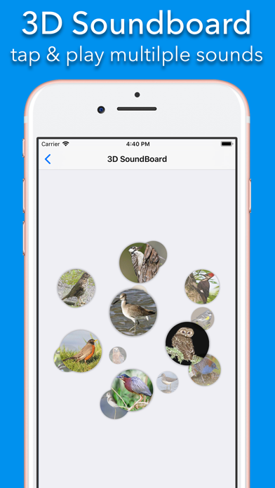 200+ Sounds of Birds screenshot 3