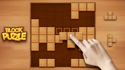 Block Puzzle Wood screenshot1