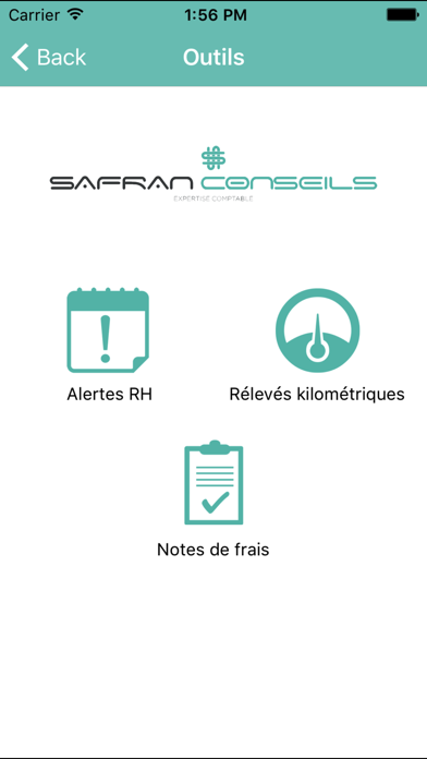 Safran Conseils screenshot 3