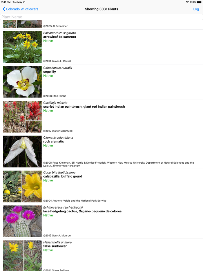 Colorado Wildflower Search