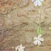 Know Your Plants