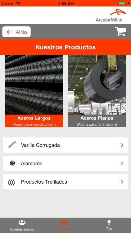 ArcelorMittal México