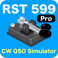RST 599 Pro pour PC