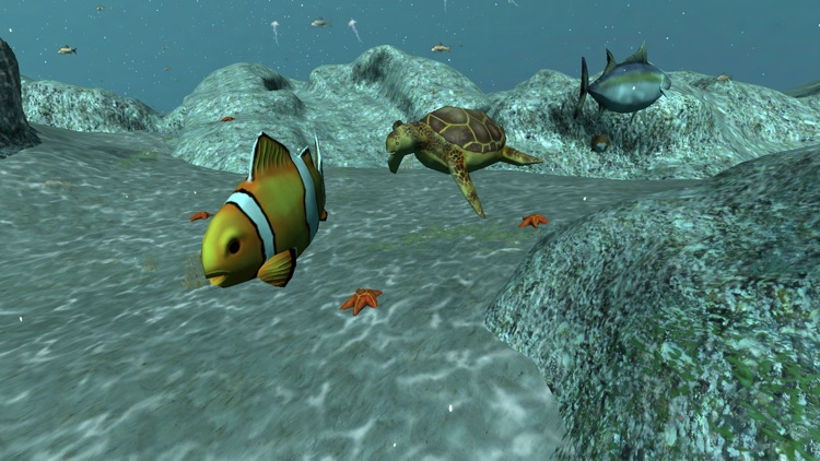 Real Fish Simulator